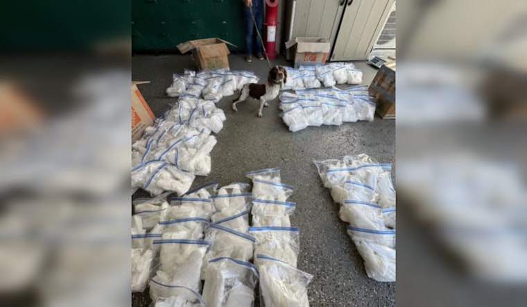 South Gate Police Seize Over 300 Pounds of Meth Valued at $1 Million; K-9 Unit Key in Major Drug Bust Near Los Angeles