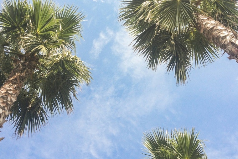 Spring Sunshine Graces Los Angeles with Mid-70s Bliss and Clear Skies