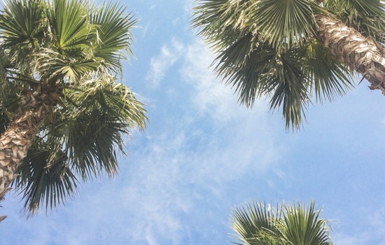Spring Sunshine Graces Los Angeles with Mid-70s Bliss and Clear Skies