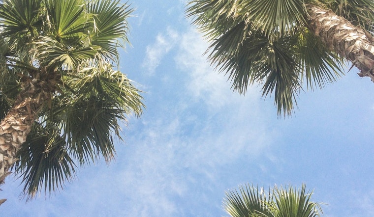 Spring Sunshine Graces Los Angeles with Mid-70s Bliss and Clear Skies