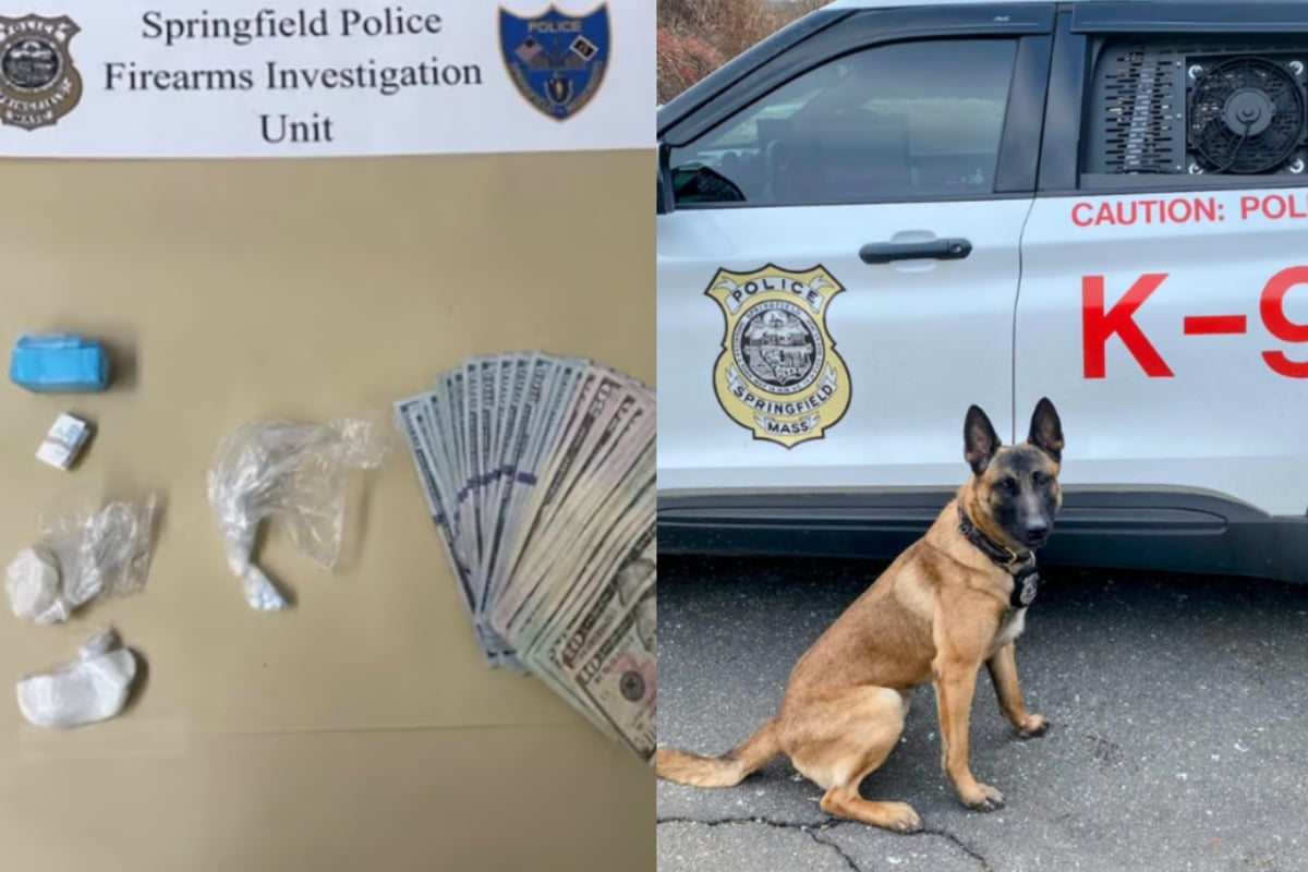 Springfield Police Seize Drugs and Cash in Malden Street Bust, Three