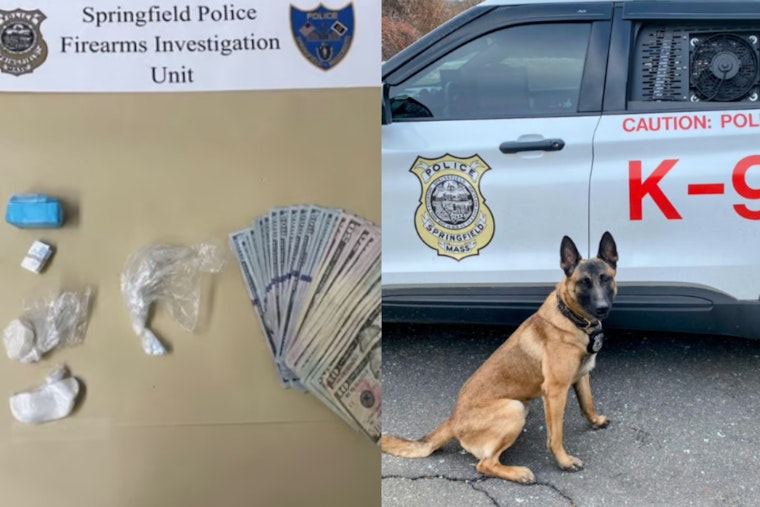 Springfield Police Seize Drugs and Cash in Malden Street Bust, Three Arrested