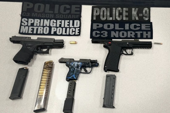 Springfield Police Seize Three Illegal Firearms, Arrest Six at Blunt Park Operation