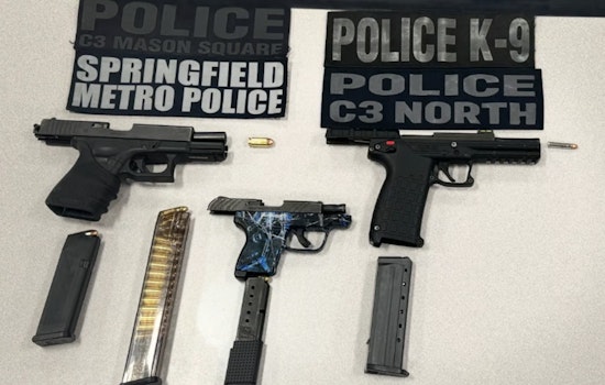 Springfield Police Seize Three Illegal Firearms, Arrest Six at Blunt Park Operation