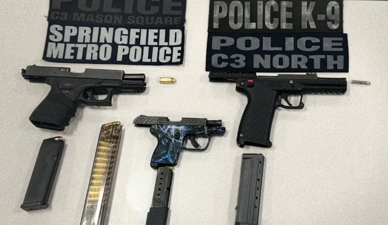 Springfield Police Seize Three Illegal Firearms, Arrest Six at Blunt Park Operation