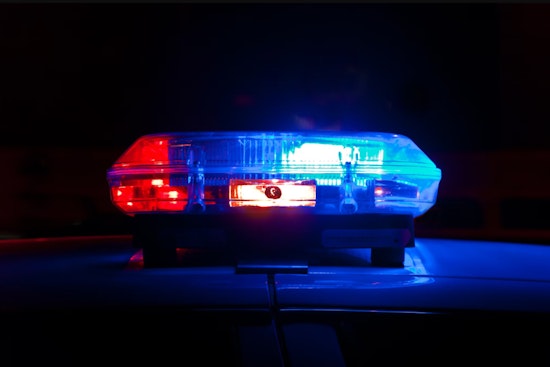 St. Bernard Parish Man Arrested on 11 Counts of Child Sexual Abuse Material Possession, Charged with Sexual Abuse of an Animal
