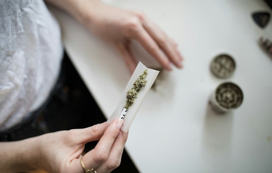 St. Louis Park City Amends Ordinance, Paving Way for Legal Sale of Cannabis Paraphernalia