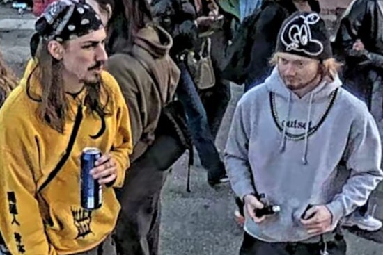 St. Louis Police Seek Public Help to Identify Mardi Gras Vandals Responsible for Damaging Surveillance Equipment
