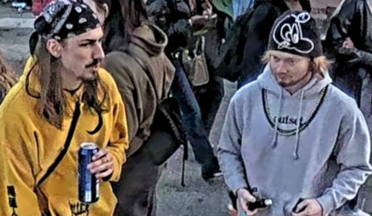 St. Louis Police Seek Public Help to Identify Mardi Gras Vandals Responsible for Damaging Surveillance Equipment