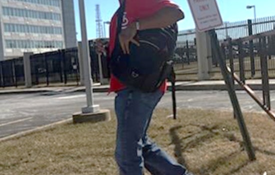 St. Louis Police Seek Public's Help to Identify Suspect in Downtown West Vandalism Case