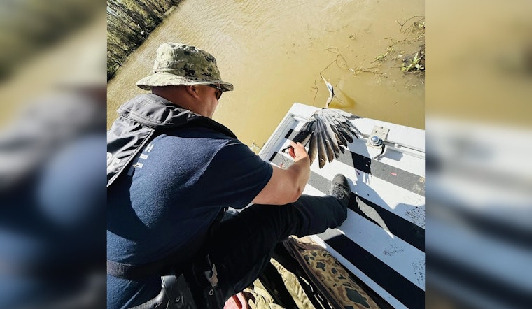 St. Tammany Parish Deputies Rescue Great Blue Heron from Abandoned Fishing Gear