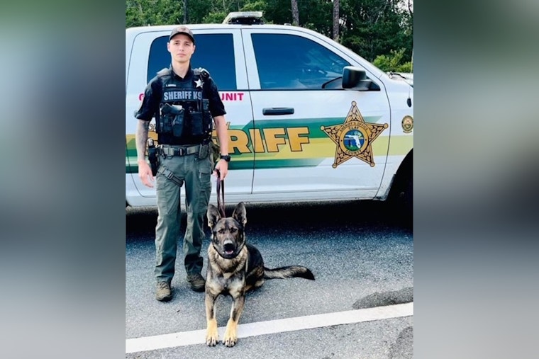 Strategic Teamwork Leads to Suspect's Capture as Clay County Sheriff's Office Utilizes Drone and K9 Unit in Successful Pursuit
