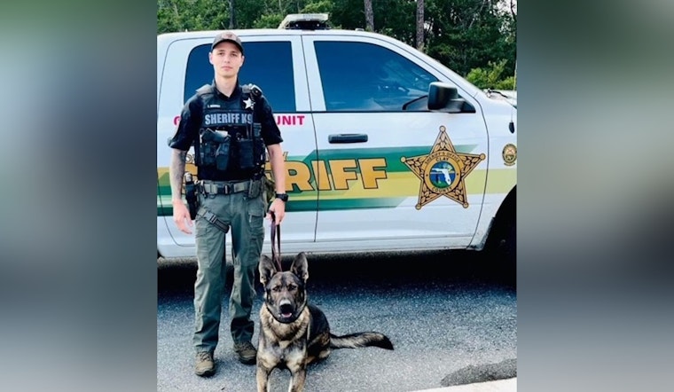Strategic Teamwork Leads to Suspect's Capture as Clay County Sheriff's Office Utilizes Drone and K9 Unit in Successful Pursuit
