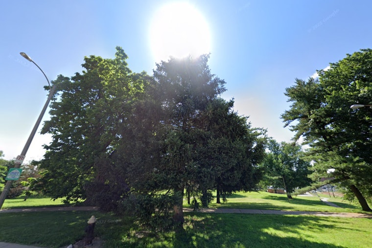 Sunny Respite in St. Louis as Temperatures Rise After Chilly Morning, Possible Rain Next Week