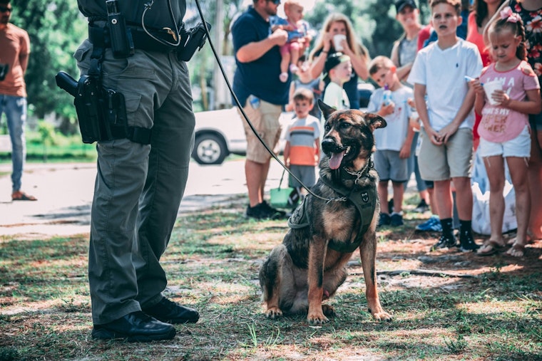 Support St. Johns County's K9 Tonic in Florida Sheriffs Association's K9 March Madness Tournament