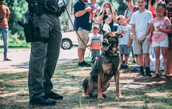 Support St. Johns County's K9 Tonic in Florida Sheriffs Association's K9 March Madness Tournament