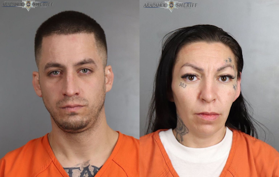 Suspects Arrested in Connection with Stolen English Bulldog Puppies from Perfect Pets in Arapahoe County