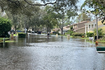 Tampa Launches $3.2 Million Aid Program for Hurricane-Affected Homeowners