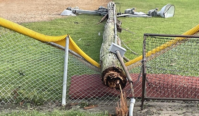 Tampa Surges Ahead with Reopening of Parks and Recreation Facilities Post-Hurricane Damage