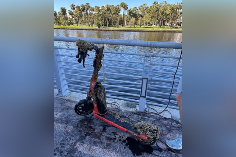 Tampa Unites for River Cleanup, Divers and Volunteers Clear Waste from Hillsborough River at Curtis Hixon Waterfront Park