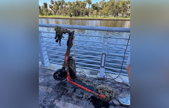 Tampa Unites for River Cleanup, Divers and Volunteers Clear Waste from Hillsborough River at Curtis Hixon Waterfront Park