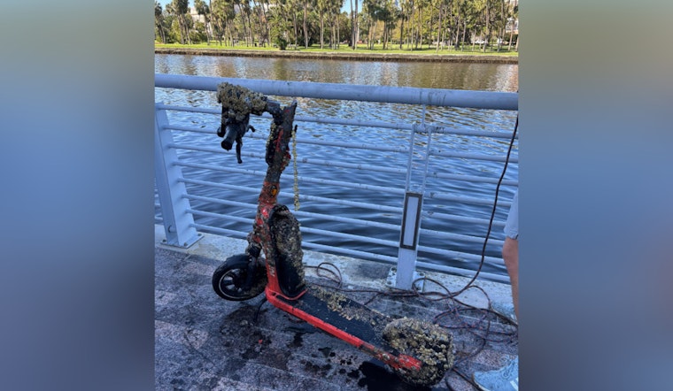 Tampa Unites for River Cleanup, Divers and Volunteers Clear Waste from Hillsborough River at Curtis Hixon Waterfront Park