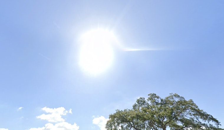 Tampa Welcomes a Week of Sunshine and Mild Weather, According to NWS Forecast
