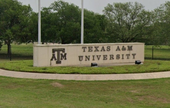 Texas A&M 'Draggieland' Event Upheld by Federal Judge Despite University's Ban, Citing Free Speech Protections
