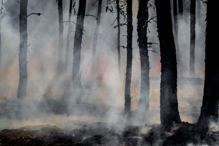 Texas Governor Greg Abbott Extends Wildfire Disaster Proclamation to Bolster Response Efforts