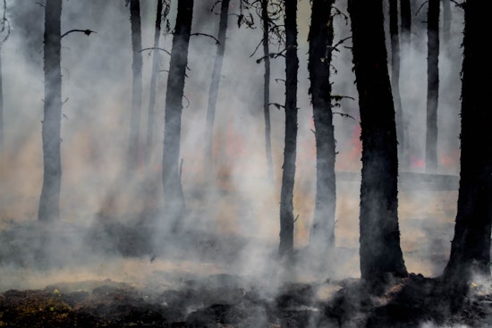 Texas Governor Greg Abbott Extends Wildfire Disaster Proclamation to Bolster Response Efforts