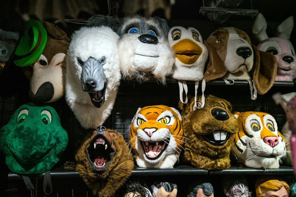 Texas Lawmakers Propose Controversial FURRIES Act to Ban Animal Roleplaying in Schools