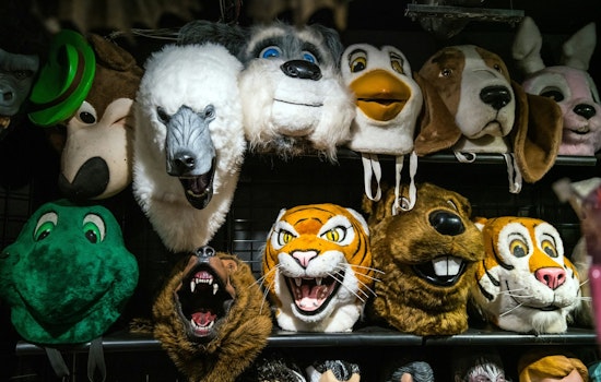 Texas Lawmakers Propose Controversial FURRIES Act to Ban Animal Roleplaying in Schools