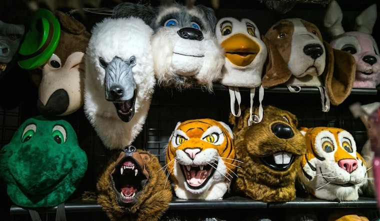 Texas Lawmakers Propose Controversial FURRIES Act to Ban Animal Roleplaying in Schools