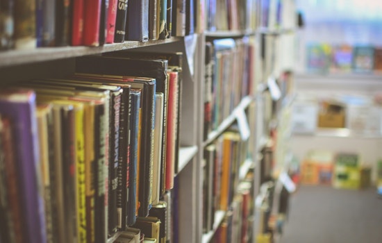 Texas Senate Passes Bill Shifting School Library Book Selection to School Boards and Parents