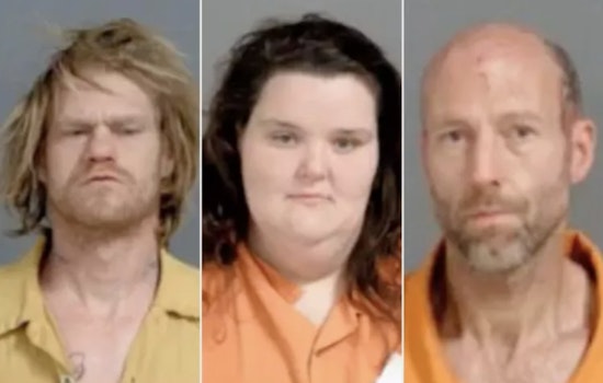 Three Arrested in Flint for Suspected Child and Animal Abuse After Deceased Puppy Found in Pizza Box