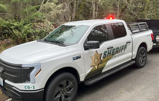 Tragic Port Angeles Blaze Claims Life of Five-Year-Old, Injures Toddler; Investigation Underway