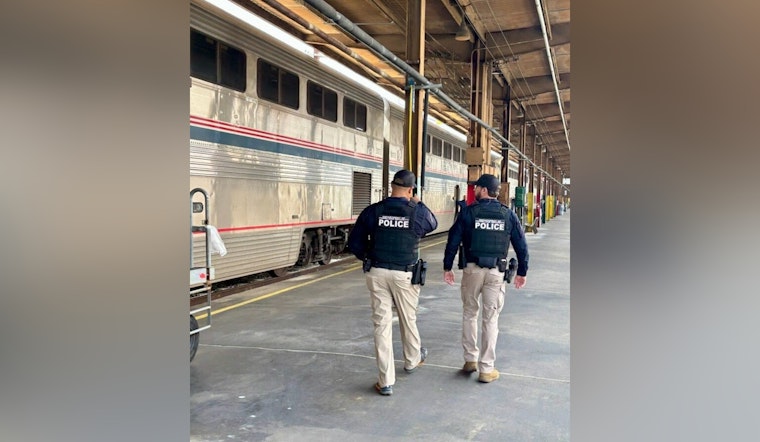 TSA Enhances Security at New Orleans Mardi Gras with Air Marshals and Explosive Detection K9 Teams