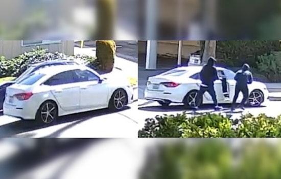 U.S. Postal Inspection Service Offers $150K Reward for Information on Los Angeles Letter Carrier Robberies
