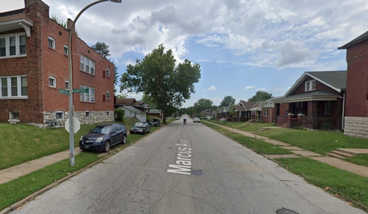 Unidentified Woman Found Dead Under Leaves in St. Louis' Penrose Neighborhood as Police Launch Death Investigation
