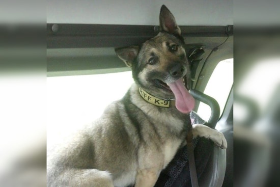 Union County Sheriff's Office Mourns the Loss of Beloved K9 Santos After Decade of Service