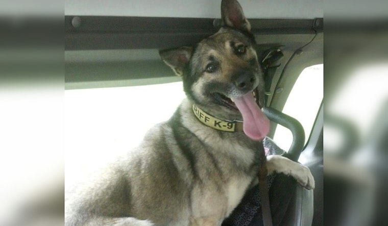 Union County Sheriff's Office Mourns the Loss of Beloved K9 Santos After Decade of Service