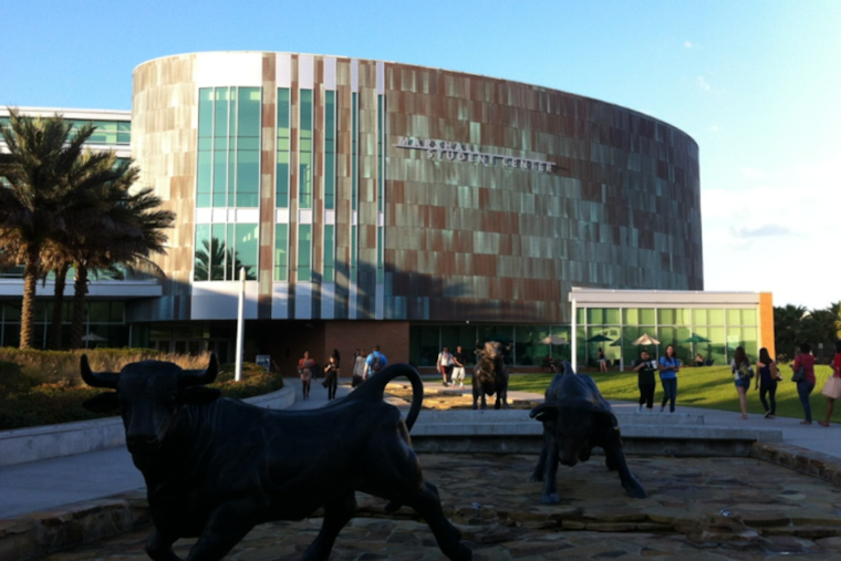 University of South Florida Under Federal Investigation Over Alleged Race-Based Scholarships and Programs