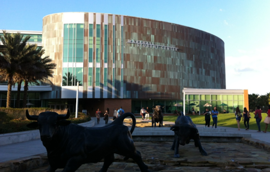 University of South Florida Under Federal Investigation Over Alleged Race-Based Scholarships and Programs