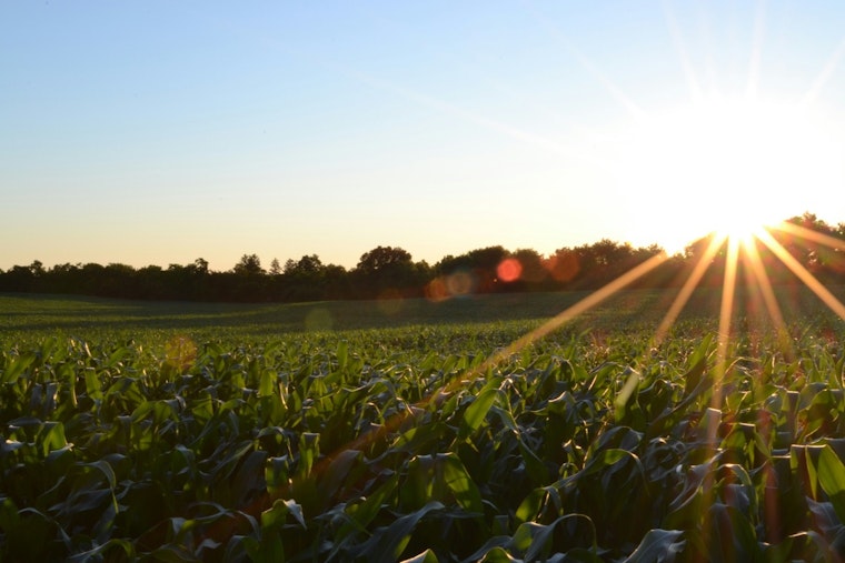 University of Tennessee Launches Forage Budget Calculator to Boost Farmer Profitability