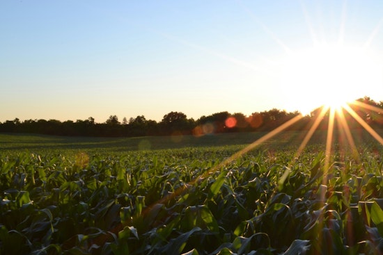 University of Tennessee Launches Forage Budget Calculator to Boost Farmer Profitability