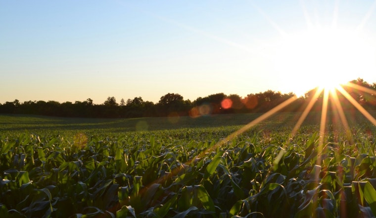 University of Tennessee Launches Forage Budget Calculator to Boost Farmer Profitability