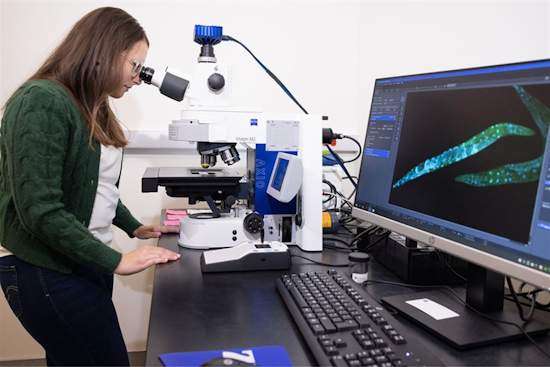 University of Texas at Arlington Upholds Elite R1 Research Status, Bolstering State and National Economies