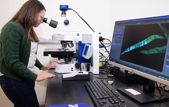 University of Texas at Arlington Upholds Elite R1 Research Status, Bolstering State and National Economies