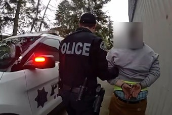 University Place Man Arrested for $10,000 Lego Heist, Firearms and Drugs Uncovered