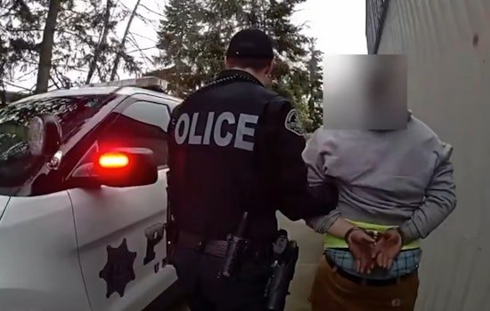 University Place Man Arrested for $10,000 Lego Heist, Firearms and Drugs Uncovered